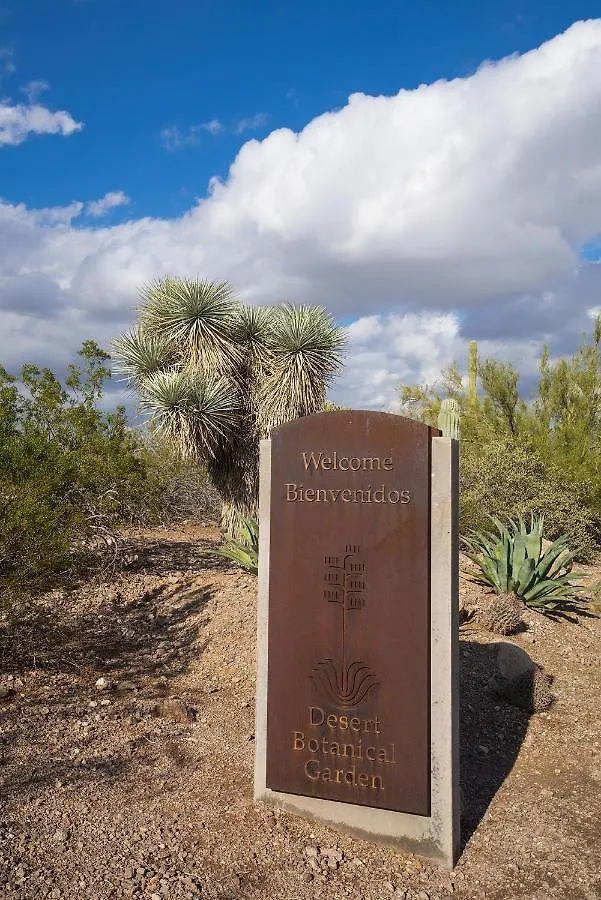 108 Fully Furnished 1Br Suite-Prime Location Scottsdale Apartment
